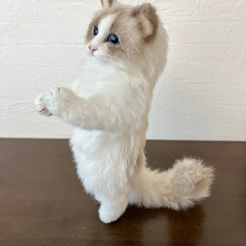 ラグドール 猫 母の日 ギフト アンティーク調 インテリア ぬいぐるみ