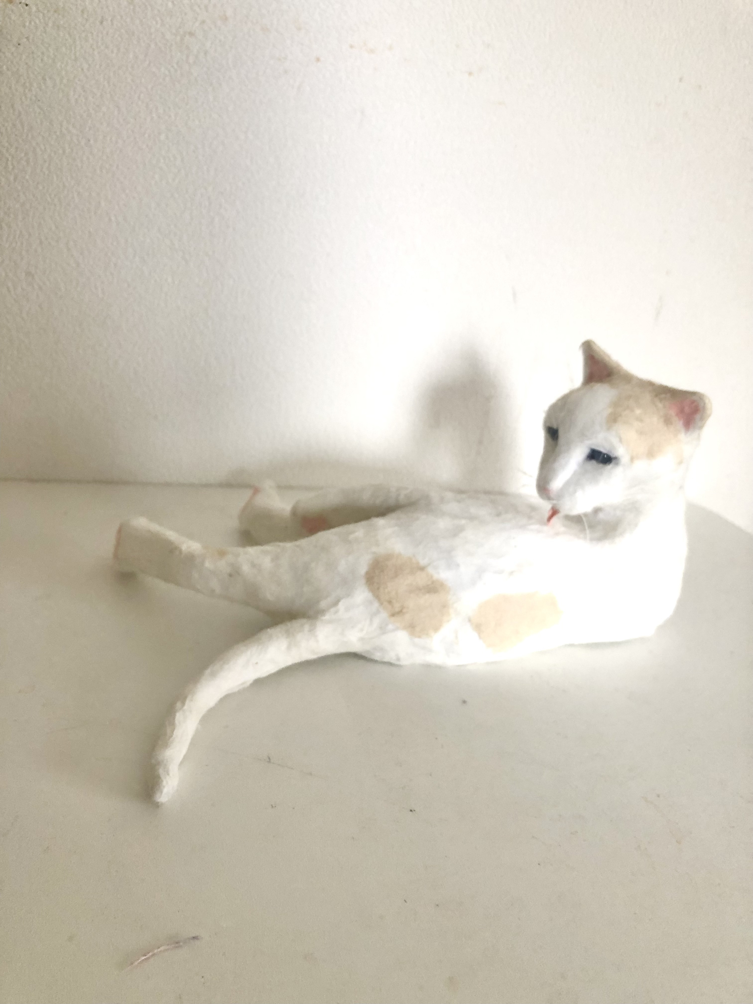 和紙の毛繕い猫