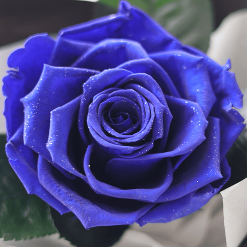 プリザーブドフラワー ギフト 花束 ブーケ バラ 青 プレゼント 枯れ