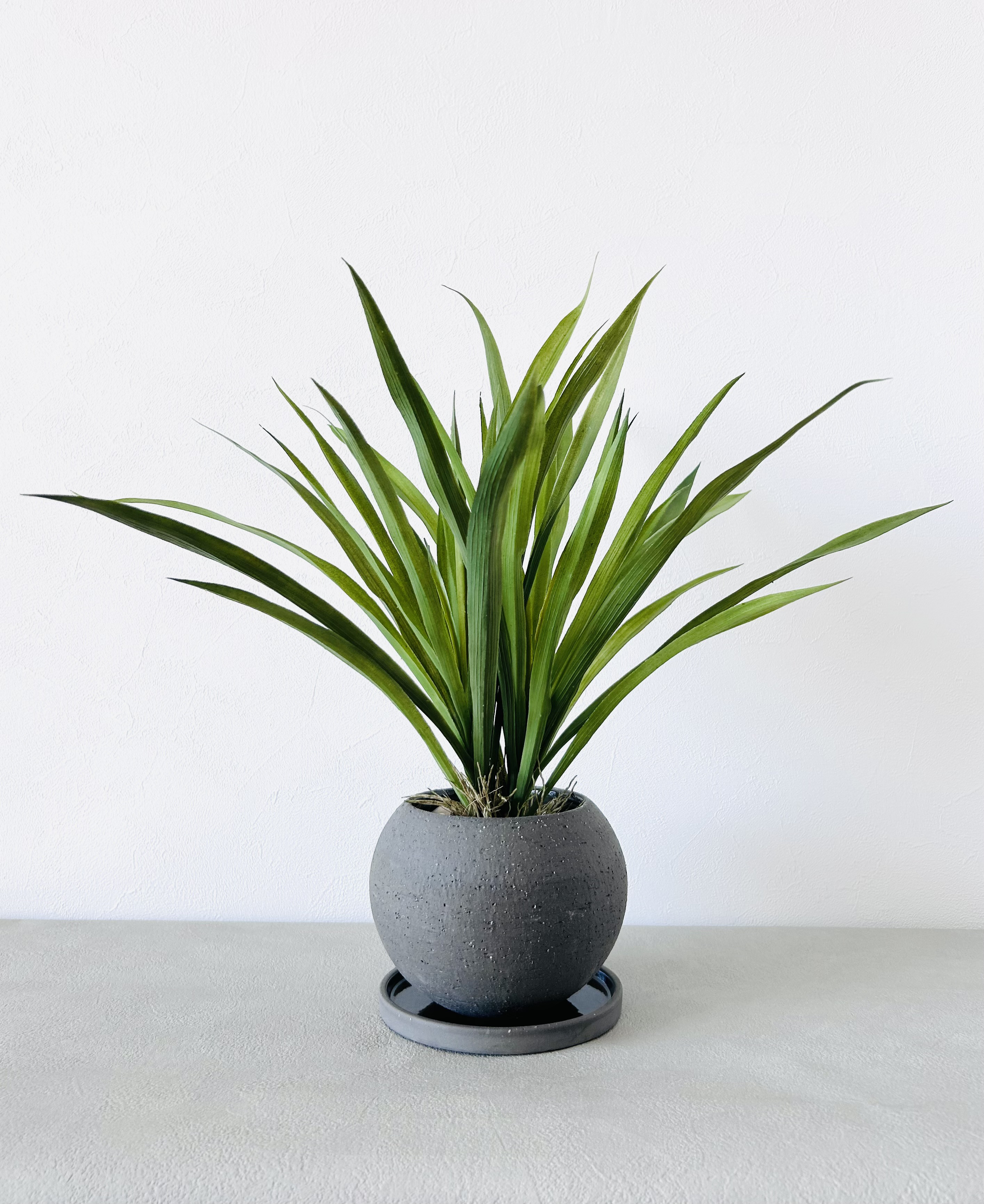 【受注製作】フェイクグリーン　オリヅルラン ボールポット