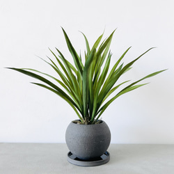 Lサイズ/牌変更無料】麻雀 マージャン 雀荘 ゲーム アカウーピン 赤牌