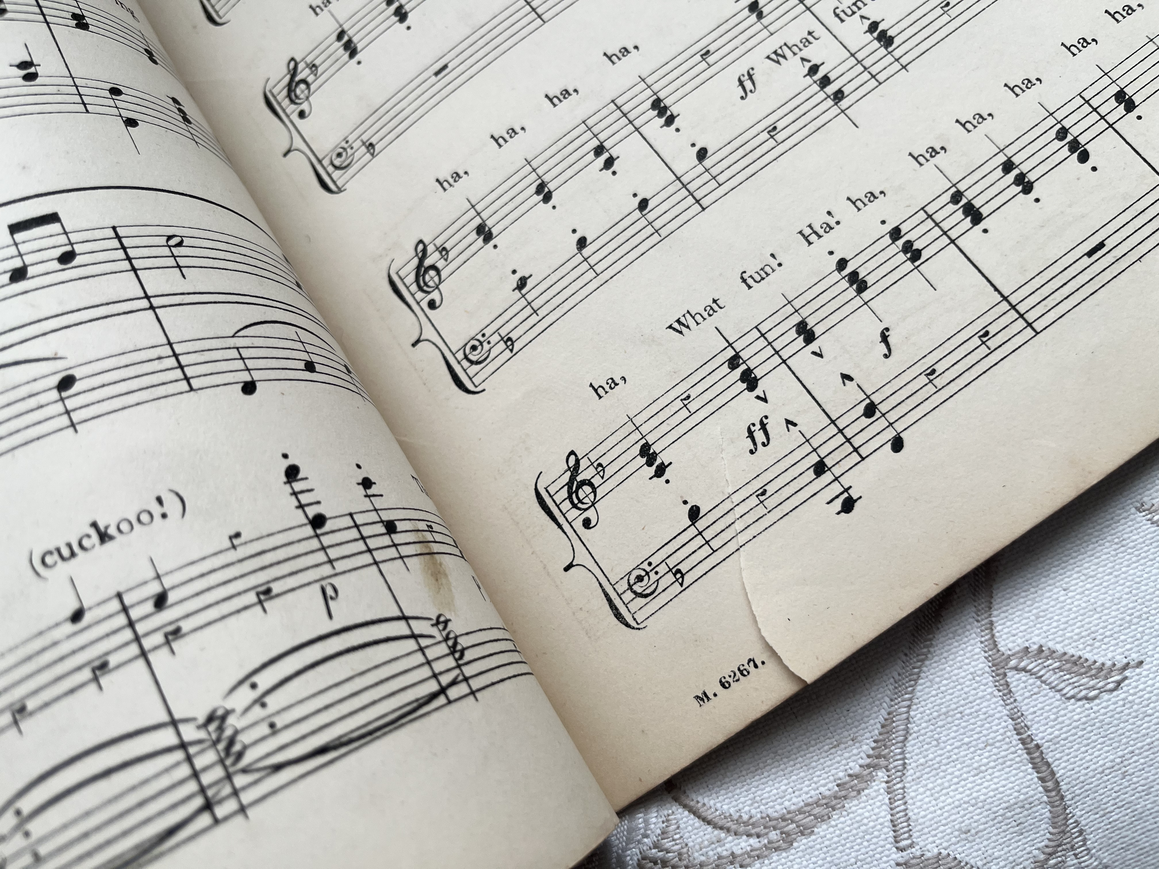 英国で出会った♪1880年代 アンティークの大判の楽譜　「SEE-SAW WALTZ 」8枚16ページ