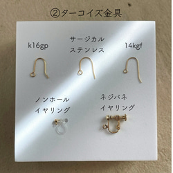 夏の福袋 人気作品2点セット｜and story ピアス / イヤリング ターコイズ べっ甲 15枚目の画像