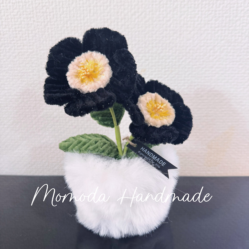 モールフラワー 黒シクラメンの鉢植え ふわふわふわ鉢 枯れない花 盆栽