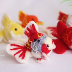 陶器 鉢 オランダ獅子頭 金魚 蟹 小物入れ キャンディポット 金魚鉢 陶器 おしゃれ 和風 水鉢 睡蓮鉢 メダカ鉢 かわいい