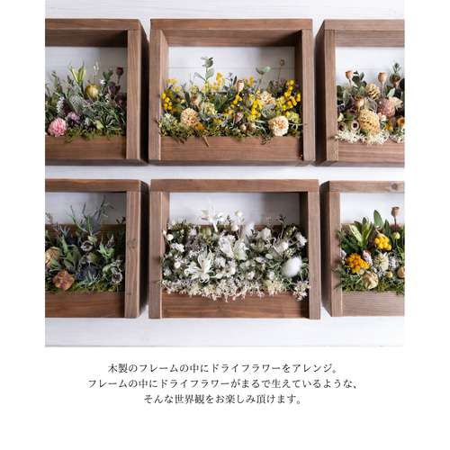 ドライフラワーの木製フレームアレンジメント ドライフラワー -残香
