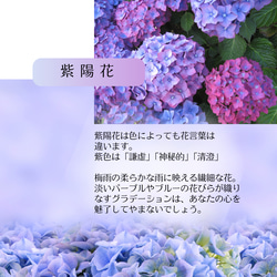 紫陽花しゃらりん*リング　　ギフト ラッピング 花 3枚目の画像