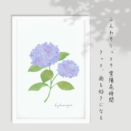 2色初夏の訪れ紫陽花ポスター／インテリアポスター／北欧ポスター