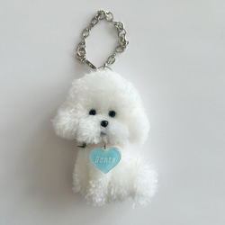 トイプードル限定❤︎オーダー受付ページ おもちゃ・ペット小物 Green