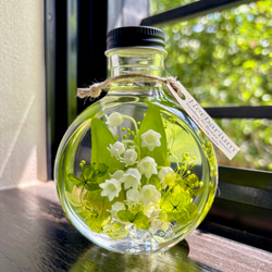 白（ホワイト） ハーバリウム・植物標本 のおすすめ人気通販｜Creema  