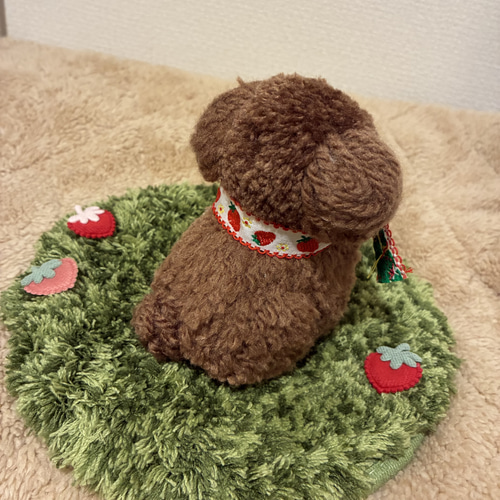 うるうるおめめのいちごちゃん＊ 毛糸ポンポン置き物マスコット トイ