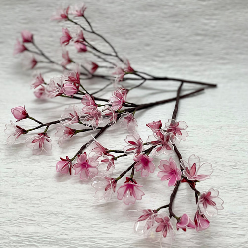 枝もの 桜 日本の美 【S】アメリカンフラワー／ディップアート