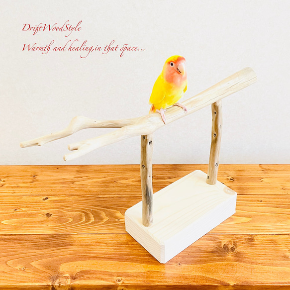 流木インテリア  小～大型インコが止まれる天然流木の小鳥の止まり木 スタンドタイプ インコ オウム 鳥 自然木 N4 3枚目の画像