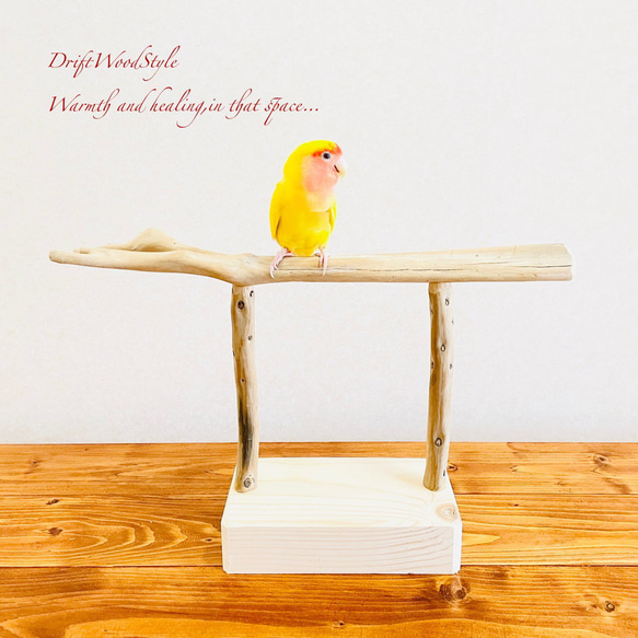 流木インテリア  小～大型インコが止まれる天然流木の小鳥の止まり木 スタンドタイプ インコ オウム 鳥 自然木 N4 2枚目の画像