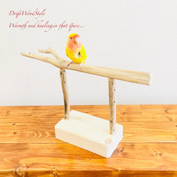 流木インテリア  小～大型インコが止まれる天然流木の小鳥の止まり木 スタンドタイプ インコ オウム 鳥 自然木 N4 4枚目の画像