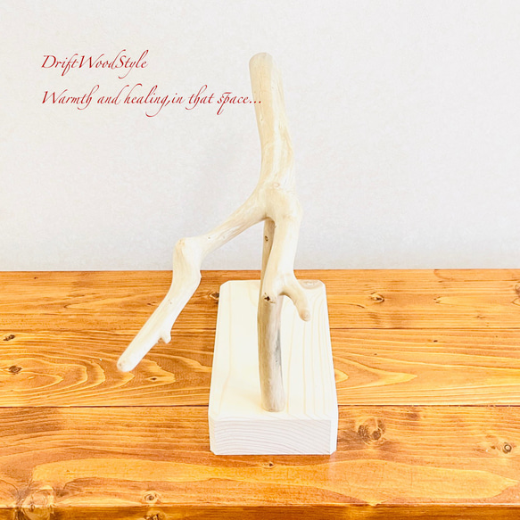 流木インテリア  小～大型インコが止まれる天然流木の小鳥の止まり木 スタンドタイプ インコ オウム 鳥 自然木 N4 10枚目の画像