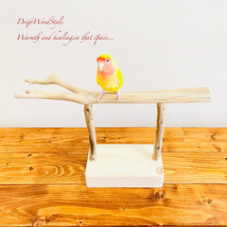 流木インテリア  小～大型インコが止まれる天然流木の小鳥の止まり木 スタンドタイプ インコ オウム 鳥 自然木 N4 1枚目の画像