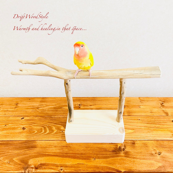 流木インテリア  小～大型インコが止まれる天然流木の小鳥の止まり木 スタンドタイプ インコ オウム 鳥 自然木 N4 1枚目の画像