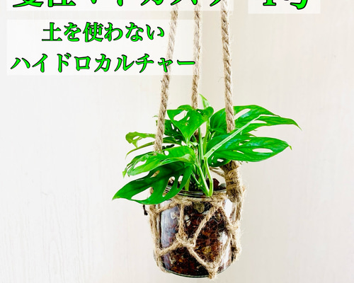 f8d6b097f16321f6b5b1a62029c447