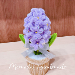 モールフラワー 可愛いヒヤシンスの鉢植え キラキラ紫色 キラキラ