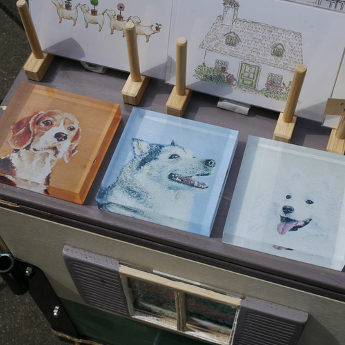 可愛いクリスマスツリーやギフトが！ アクリルブロック】シベリアンハスキー Hinako 立体・オブジェ 絵画