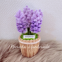 ラベンダーフラワー出品 09bed6f2bcb9d58e819e540e53f008