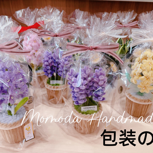 モールフラワー 紫色ラベンダーの鉢植え 枯れない花 高さ約16cm 盆栽