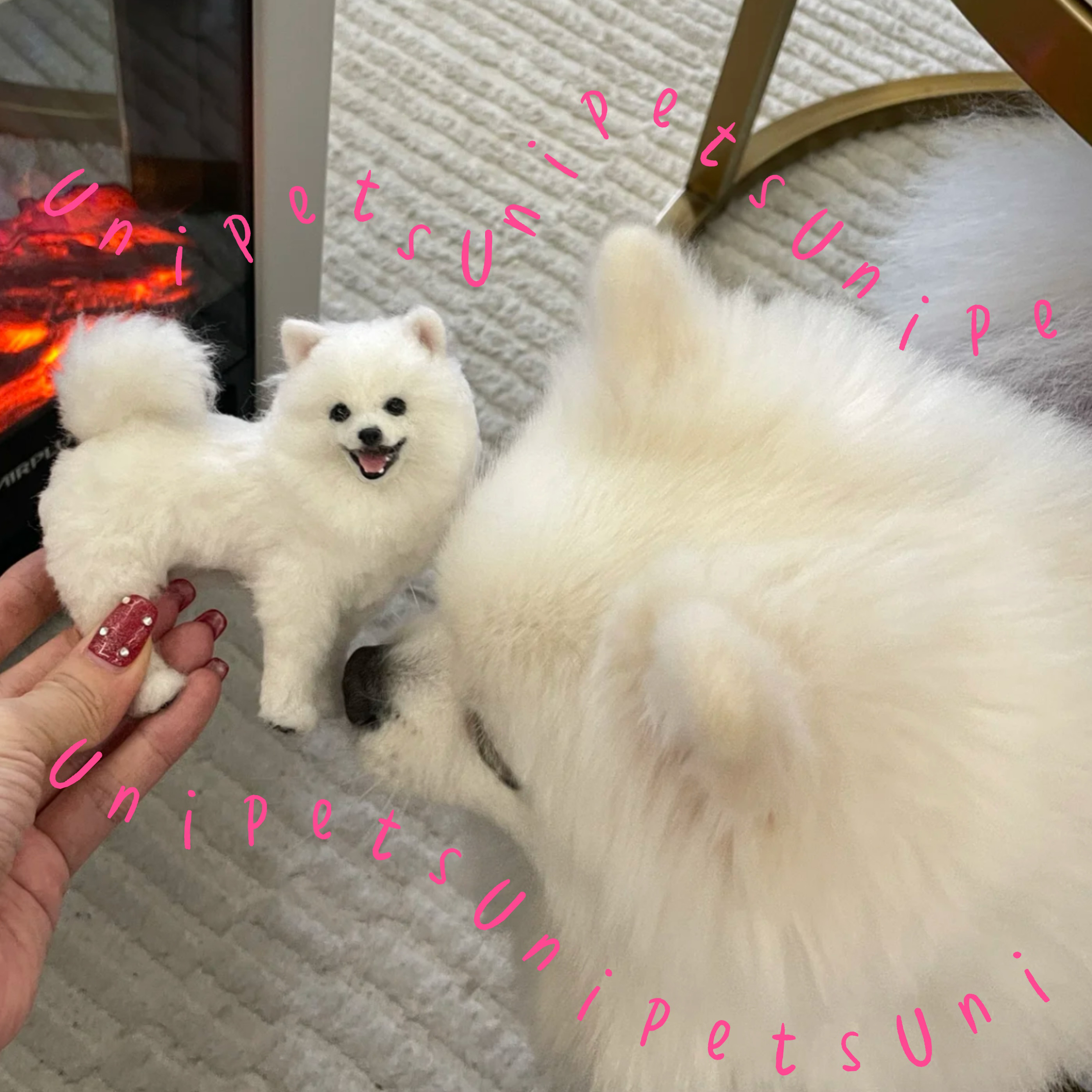 【虹の橋を渡ったあの子へ。│ ペットロス メモリアル フェルト人形 ◉ 優しい姿を永遠に残します