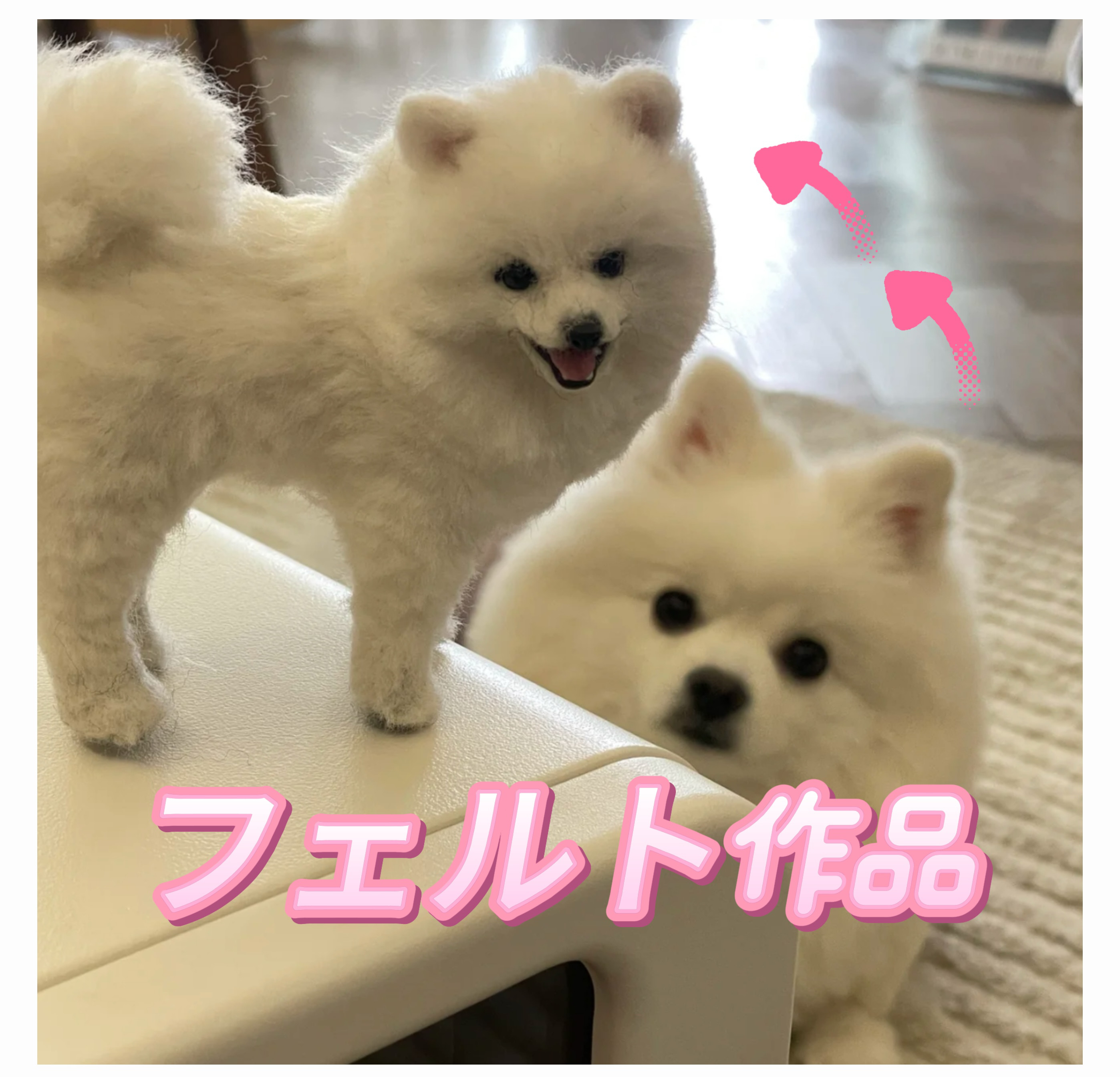 【虹の橋を渡ったあの子へ。│ ペットロス メモリアル フェルト人形 ◉ 優しい姿を永遠に残します