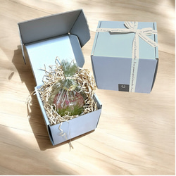 《予約のみ受付》【大切な人へ…自分へのご褒美に…】ガラスのリンゴ〜ライフスタイルに合わせて〜 18枚目の画像