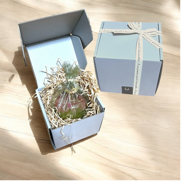 《予約のみ受付》【大切な人へ…自分へのご褒美に…】ガラスのリンゴ〜ライフスタイルに合わせて〜 18枚目の画像