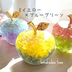 《予約のみ受付》【大切な人へ…自分へのご褒美に…】ガラスのリンゴ〜ライフスタイルに合わせて〜 6枚目の画像