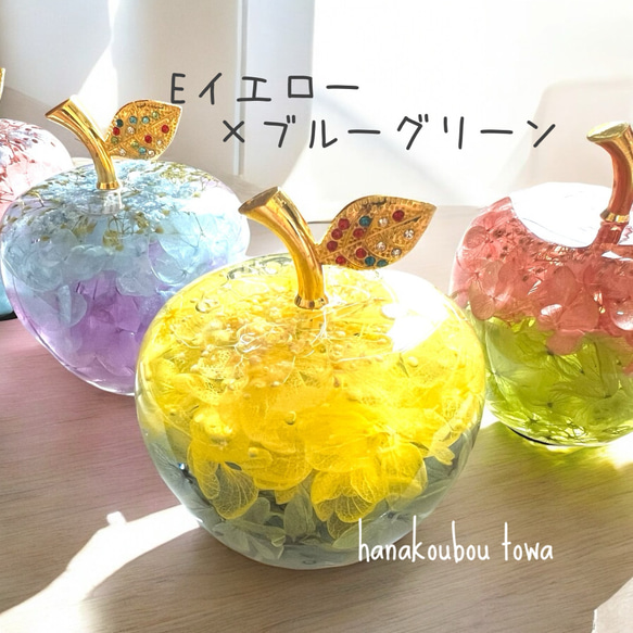 《予約のみ受付》【大切な人へ…自分へのご褒美に…】ガラスのリンゴ〜ライフスタイルに合わせて〜 6枚目の画像