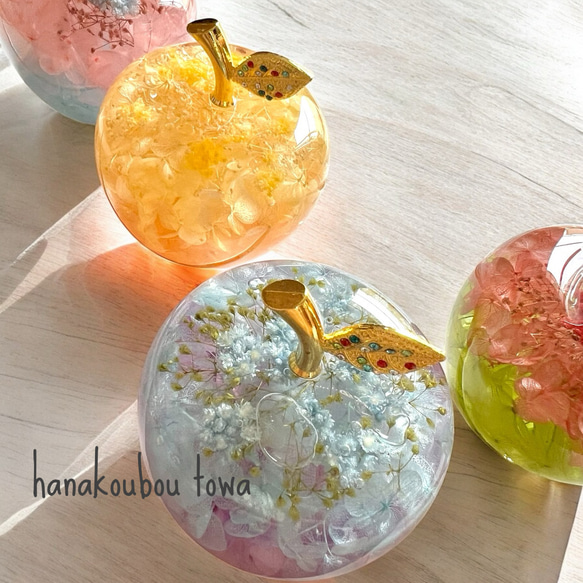 《予約のみ受付》【大切な人へ…自分へのご褒美に…】ガラスのリンゴ〜ライフスタイルに合わせて〜 16枚目の画像