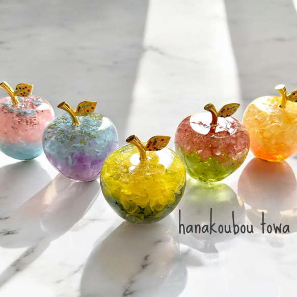 《予約のみ受付》【大切な人へ…自分へのご褒美に…】ガラスのリンゴ〜ライフスタイルに合わせて〜 10枚目の画像