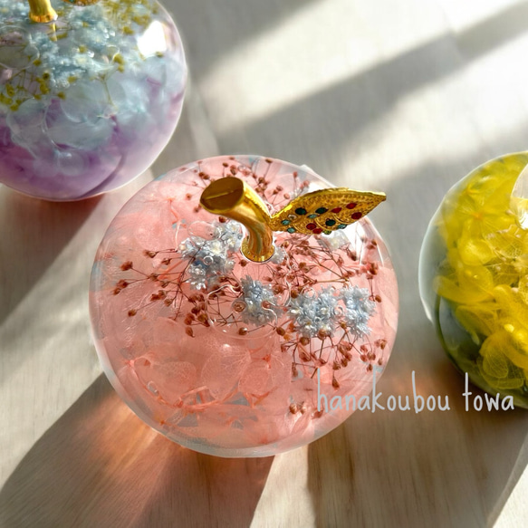 《予約のみ受付》【大切な人へ…自分へのご褒美に…】ガラスのリンゴ〜ライフスタイルに合わせて〜 15枚目の画像