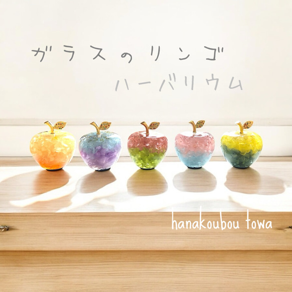 《予約のみ受付》【大切な人へ…自分へのご褒美に…】ガラスのリンゴ〜ライフスタイルに合わせて〜 1枚目の画像