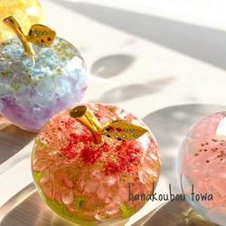 《予約のみ受付》【大切な人へ…自分へのご褒美に…】ガラスのリンゴ〜ライフスタイルに合わせて〜 13枚目の画像