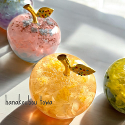 《予約のみ受付》【大切な人へ…自分へのご褒美に…】ガラスのリンゴ〜ライフスタイルに合わせて〜 14枚目の画像