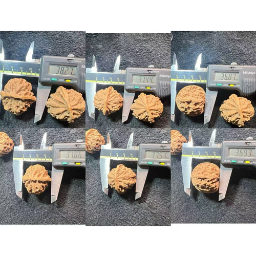 遊ぶ胡桃、文玩核桃、【老木獅子頭クルミ】383736/33.1g/JST25049