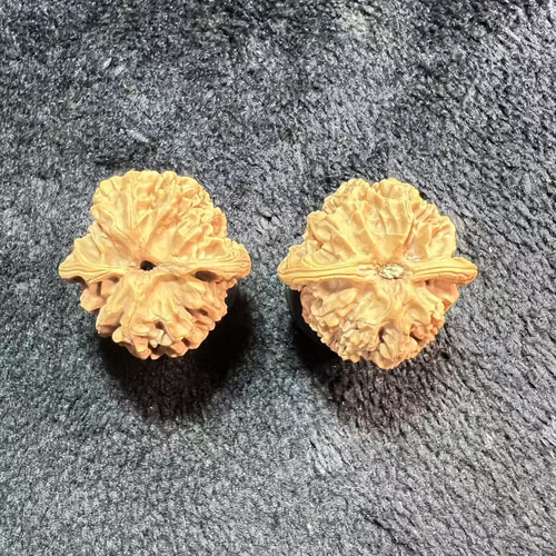 遊ぶ胡桃、文玩核桃、【老木獅子頭クルミ】383736/33.1g/JST25049