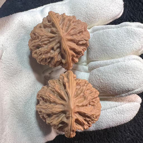 遊ぶ胡桃、文玩核桃、【老木獅子頭クルミ】383736/33.1g/JST25049