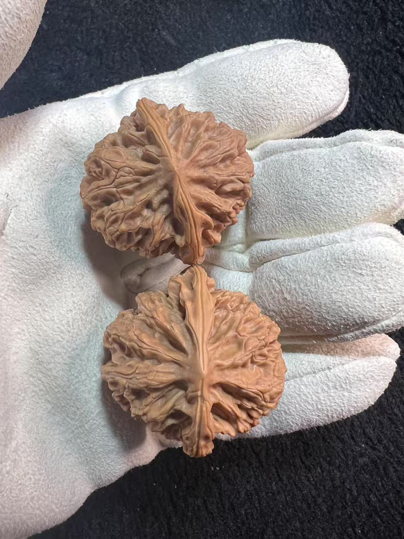 遊ぶ胡桃、文玩核桃、【老木獅子頭クルミ】383736/33.1g/JST25049