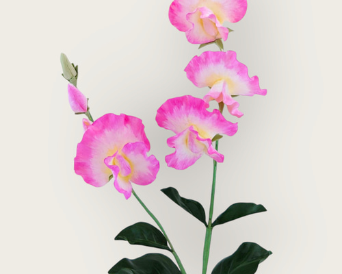 専用 スイートピー 菜の花 クレイフラワー 0_b98f8908d280dd79540a4840bb5d