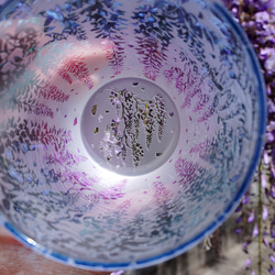 萌え乃藤【2色Ver】 5枚目の画像