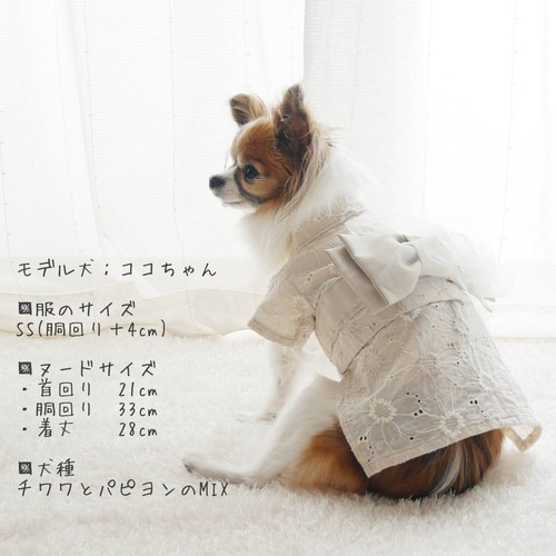 犬の浴衣 iDog 華やか大輪帯浴衣 アイドッグ-犬猫用品通販 IDOG&ICAT