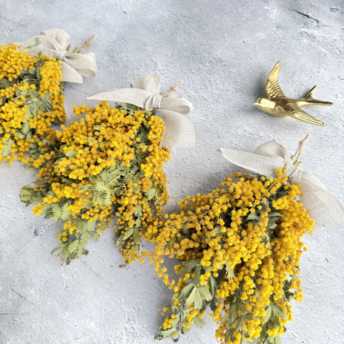 ミモザのドライフラワーミニスワッグ ドライフラワー pluieflower 通販