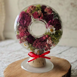 ホオズキのガーランド ドライフラワー はなさか兄さん 通販 4310593