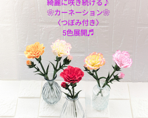 fdfe385a5fcd5ecc53cb87d8b2dc4a