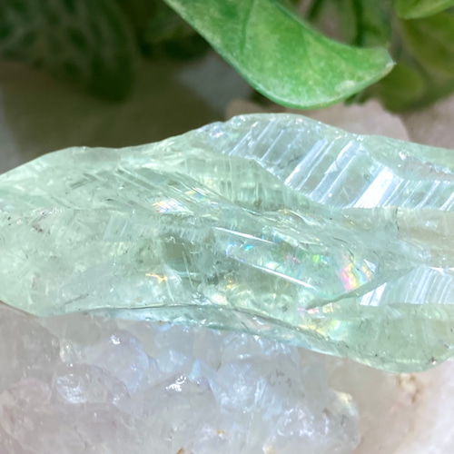 高品質　プラシオライト　グリーンクォーツ　パーム　握り石 高品質 プラシオライト グリーンクォーツ パーム 握り石 高品質